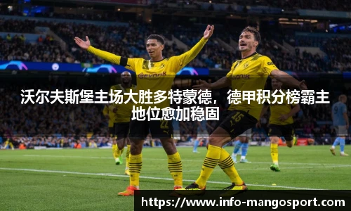 沃尔夫斯堡主场大胜多特蒙德，德甲积分榜霸主地位愈加稳固