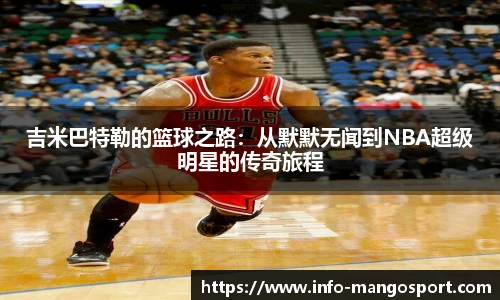 芒果体育官网入口